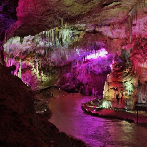 shutterstock_2106255611-1024x666 shutterstock_2106255611-1024x666