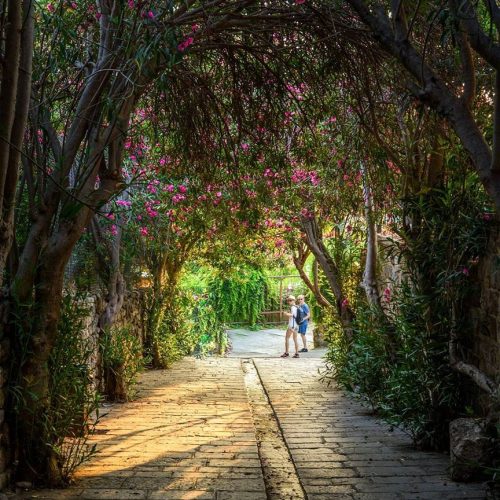 the-green-tunnel-byblos-lebanon-best-place-to-t-7-8-2017-10-20-44-pm-l-500x500 the-green-tunnel-byblos-lebanon-best-place-to-t-7-8-2017-10-20-44-pm-l-500x500