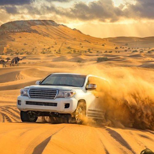 tour_img-1411064-145-1-960x1149-1-500x500 tour_img-1411064-145-1-960x1149-1-500x500