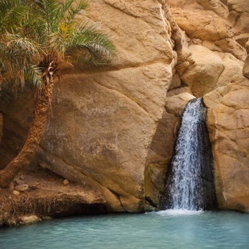 tozeur-tamerza-chebika-and-mides-canyons-half-day-trip-500x500 tozeur-tamerza-chebika-and-mides-canyons-half-day-trip-500x500