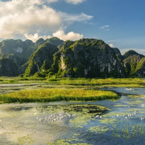 van-long-wetland-nature-reserve-thumb-500x500 van-long-wetland-nature-reserve-thumb-500x500