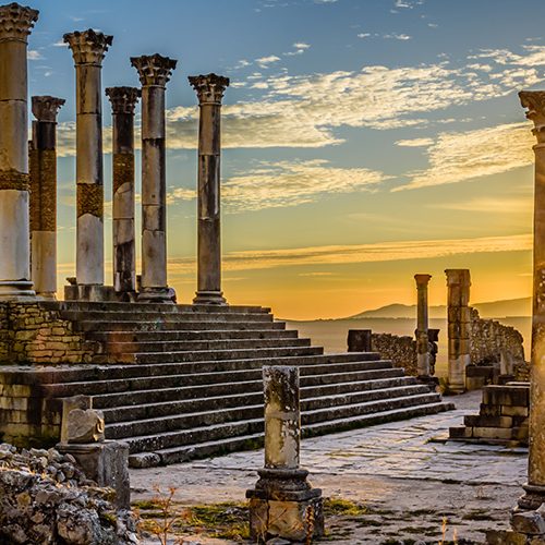 volubilis-7-1-500x500 volubilis-7-1-500x500